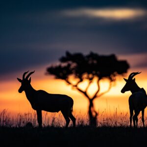 Incredible Kenya Wildlife Safaris. Nairobi, Lake Nakuru And Maasai Mara