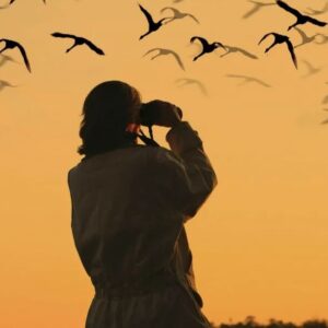 3 Days Maasai Mara Camping Budget Safari