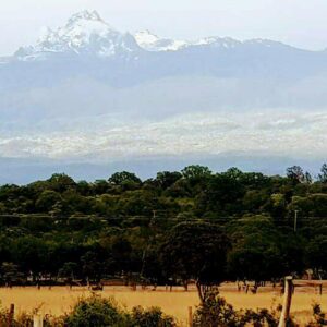 Mount Kenya Climbing Adventure Information.