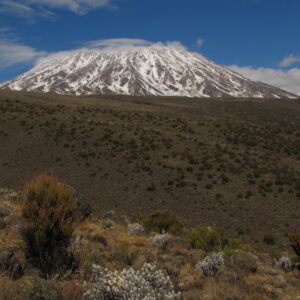 8 Days Mt. Kilimanjaro-Lemosho Route Adventure