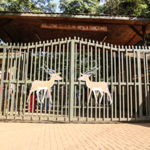 01 Day Nairobi National Park Wildlife Safaris