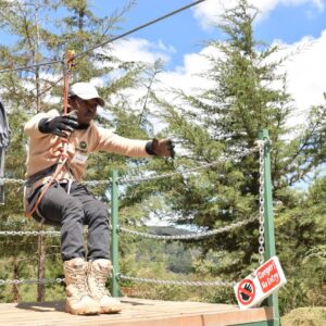 The Forest Zip Lining Synergy & The Hike