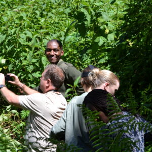 Best Of Western Uganda Wildlife Safaris