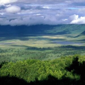 06 Days Best Of Tanzania Wildlife Safaris.