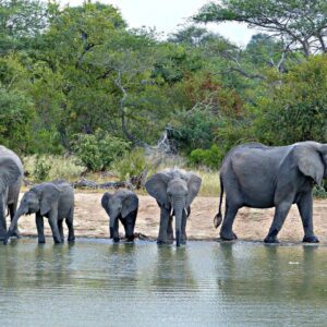 3 Days Manyara, Ngorongoro Tarangire