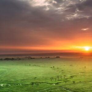 05 Days Serengeti & Ngoro Ngoro Classic Wildlife Safaris