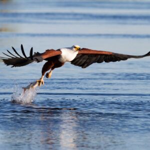 3 Days Kenyan Lake Side City Adventure