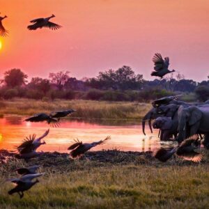 10 Days Big Cat Kenya & Tanzania Safari