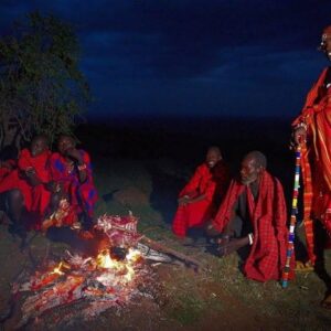 10 Days Best Of Tanzania Wildlife Safari